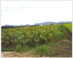  2025Ÿ��10504 �泲 â�籺 ������ ������ 990-8      ����(��)���