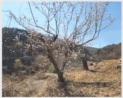  2025Ÿ��10513 �泲 â�籺 ����� ��긮 520-2      ����(��)���
