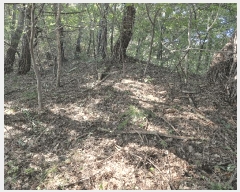  2025Ÿ��10520  �Ӿ߰��