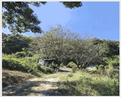  2025Ÿ��10520  �Ӿ߰��