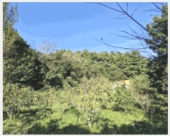  2025Ÿ��10520  �Ӿ߰��