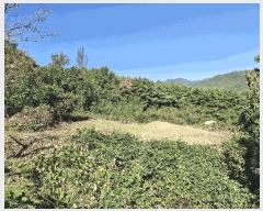  2025Ÿ��10520  �Ӿ߰��