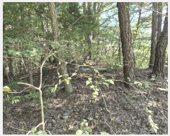  2025Ÿ��10520  �Ӿ߰��