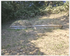  2025Ÿ��10520  �Ӿ߰��