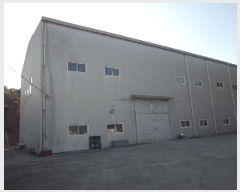  2025Ÿ18 泲 â籺  Ҹ 956      