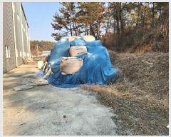  2025Ÿ18 泲 â籺  Ҹ 956      