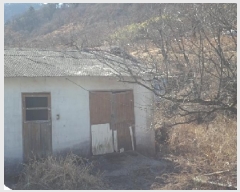  2025Ÿ100 泲 о   716-3      ()