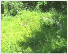  2025Ÿ��131  �Ӿ߰��