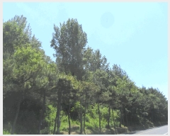  2025Ÿ��131  �Ӿ߰��