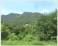  2025Ÿ131 泲 â籺 輺 縮 866      ()