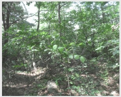  2025Ÿ131 泲 â籺 輺 縮 866      ()