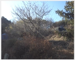  2025Ÿ131 泲 â籺 輺 縮 876      ()