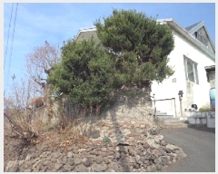  2025Ÿ162 泲 о ʵ  600-10      ð