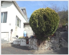  2025Ÿ162 泲 о ʵ  600-10      ð