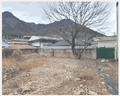  2025Ÿ��223  �������