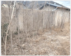  2025Ÿ��223  �������