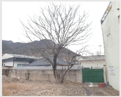  2025Ÿ��223  �������