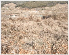  2025Ÿ285 泲 о 󵿸 Ű 777      ()