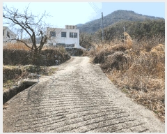  2025Ÿ285 泲 о 󵿸 Ű 777      ()