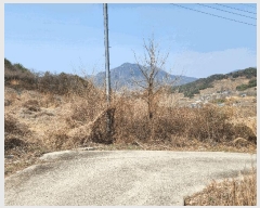  2025Ÿ285 泲 о 󵿸 Ű 777      ()