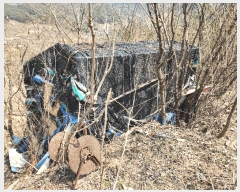  2025Ÿ285 泲 о 󵿸 Ű 777      ()