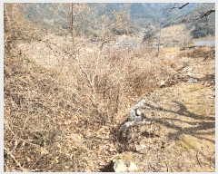  2025Ÿ285 泲 о 󵿸 Ű 777      ()