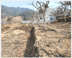  2025Ÿ285 泲 о 󵿸 Ű 777      ()