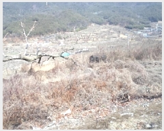  2025Ÿ285 泲 о 󵿸 Ű 777      ()