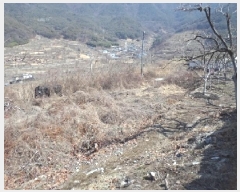  2025Ÿ285 泲 о 󵿸 Ű 777      ()