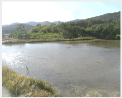  2025Ÿ315 泲 о κϸ  307      (1)