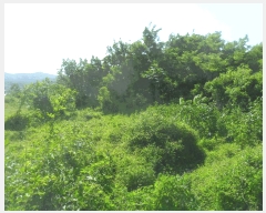  2025Ÿ315 泲 о κϸ  307      (1)