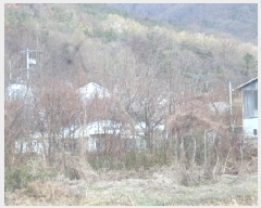  2025Ÿ315 泲 о κϸ  307      (1)