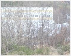  2025Ÿ315 泲 о κϸ  307      (1)