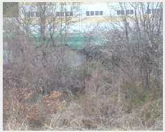  2025Ÿ315 泲 о κϸ  307      (1)