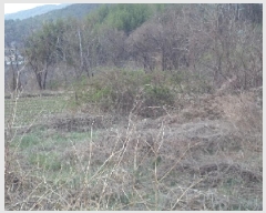  2025Ÿ315 泲 о κϸ  307      (1)