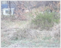  2025Ÿ315 泲 о κϸ  307      (1)