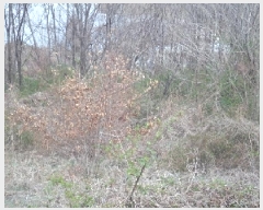  2025Ÿ315 泲 о κϸ  307      (1)