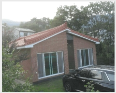  2025Ÿ353 泲 о 곻 Ǹ 1247-4      ð