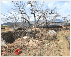  2025Ÿ��407 �泲 �о�� �󵿸� ������ 1789      ����(����)���