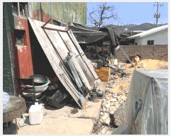  2025Ÿ483 泲 о ȸ ȸ 758-1      ð