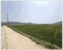  2025Ÿ��629  ����