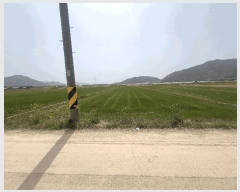  2025Ÿ��629  ����