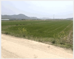  2025Ÿ��629  ����