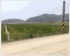  2025Ÿ��629  ����