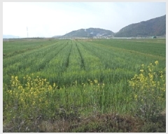  2025Ÿ��629  ����