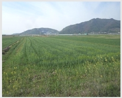  2025Ÿ��629  ����