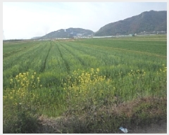  2025Ÿ��629  ����