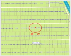  2025Ÿ��629  ����