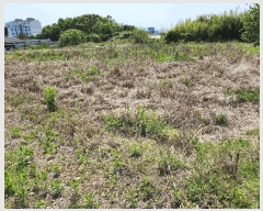  2025Ÿ��704 �泲 â�籺 ����� ������ 277-4      ����(��1)���