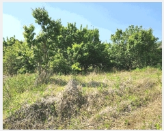  2025Ÿ��704 �泲 â�籺 ����� ������ 277-4      ����(��1)���